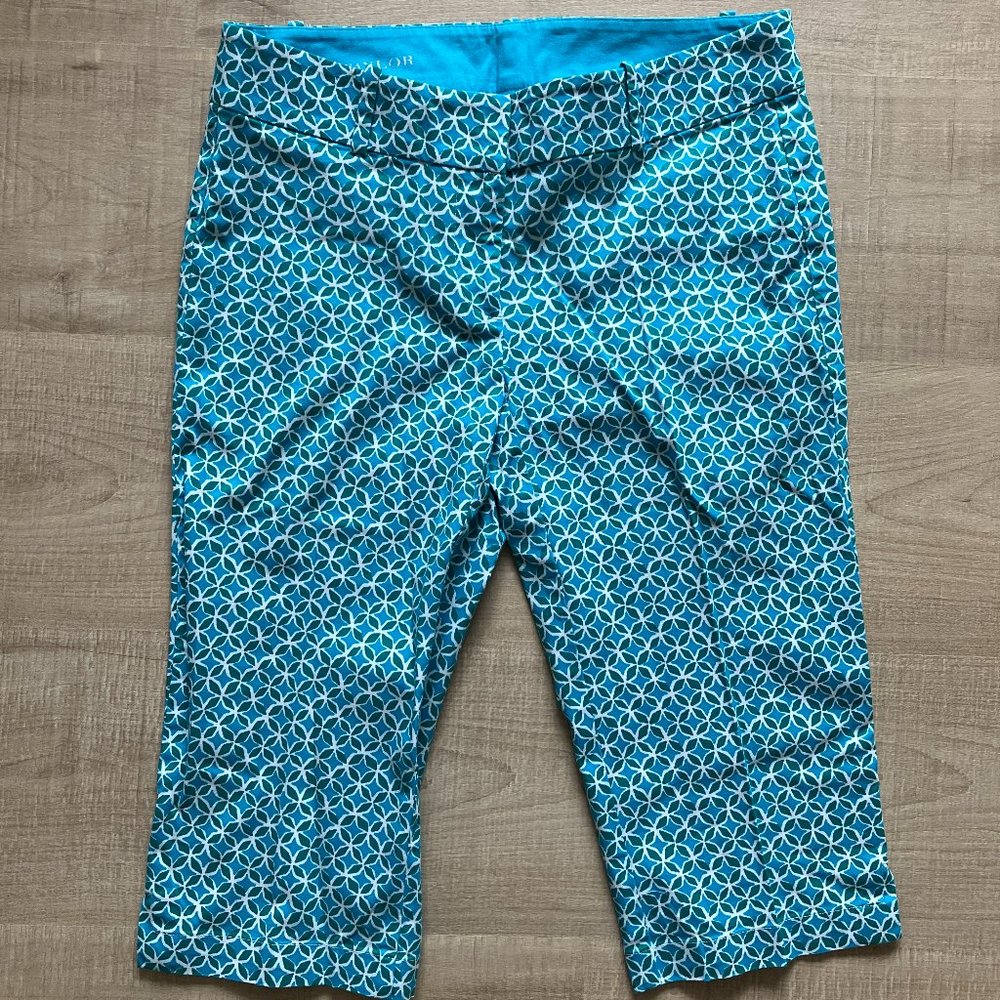 Blue and Green Bermuda Shorts